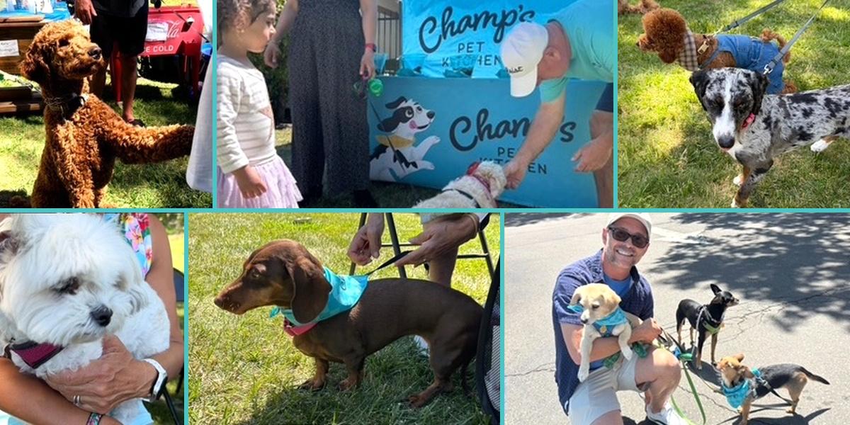 Good Dogs, Great Questions: What We Learned at Yappy Hour