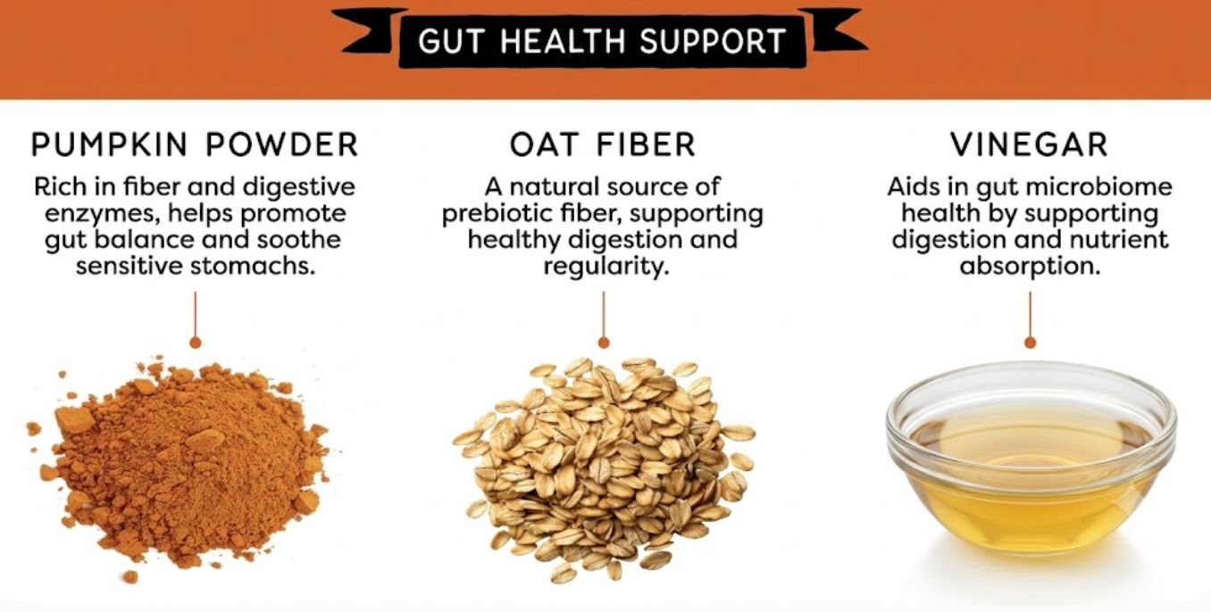 Dog Gut Health and Your Dog's Treats