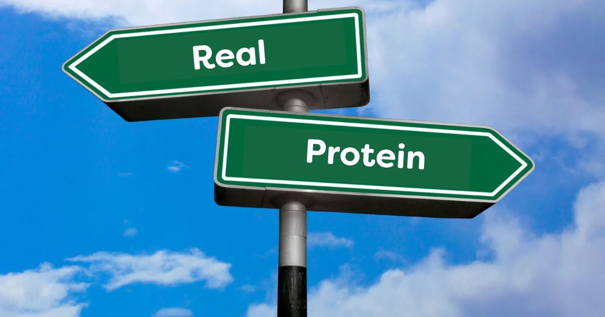 Best Protein for Dogs: A Complete Guide to High-Protein Dog Treats