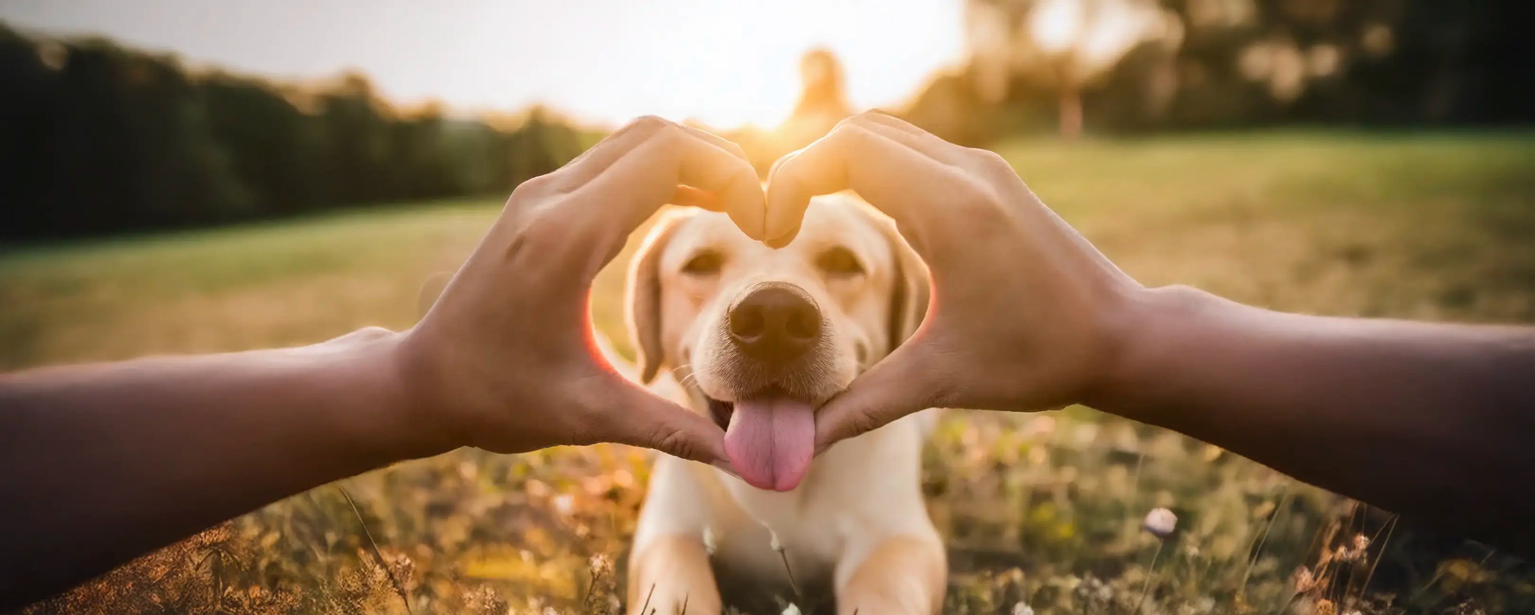 The Heart of the Matter