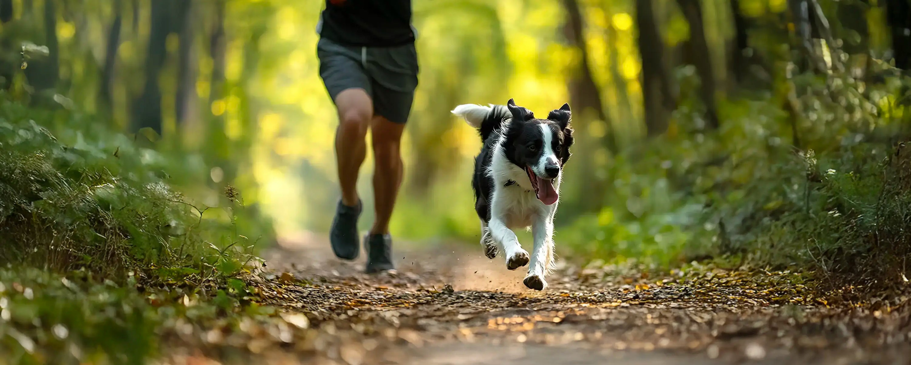 The Power of Protein