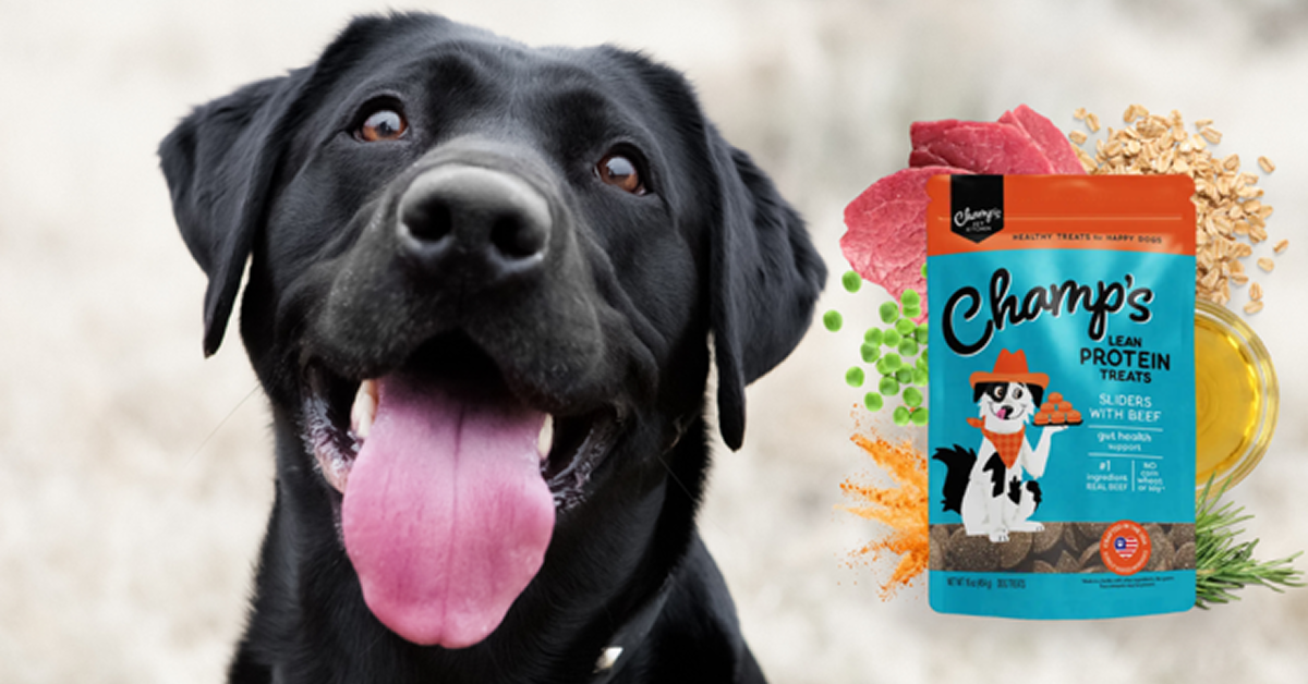 Dog Gut Health Guide: How to Improve Your Dog’s Digestion Naturally