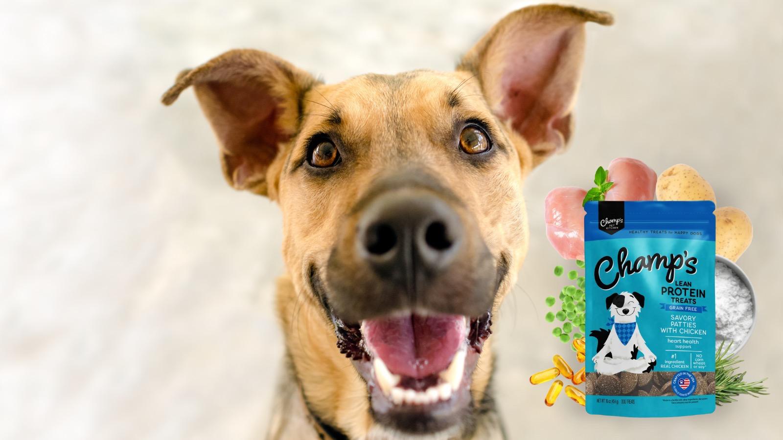 Dog Heart Health Guide: Signs, Nutrition & How to Support a Healthy Heart