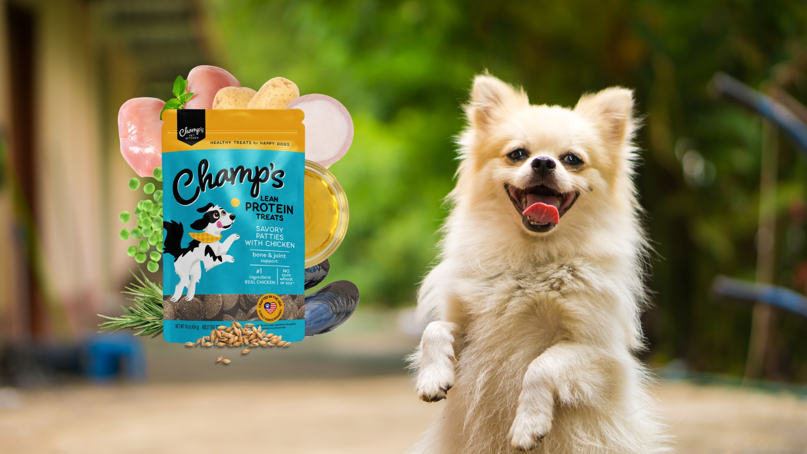 Dog Joint & Bone Health Ultimate Guide: Everything You Need to Know