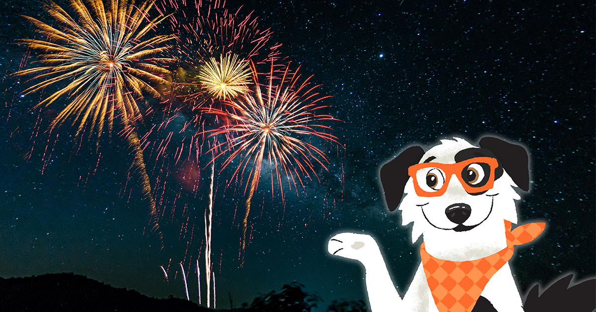 Fourth of July, the Pup-Approved Way