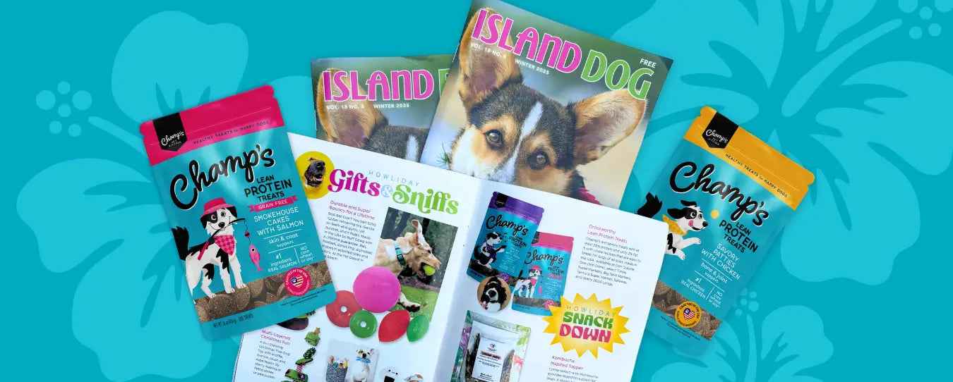 Drool-Worthy News: Champ’s Pet Kitchen Makes Island Dog Magazine’s Holiday Pick List