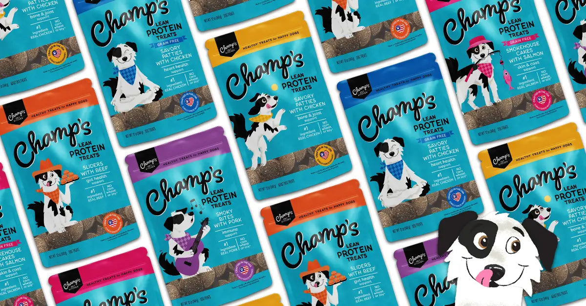 Champ’s Pet Kitchen Launches Nationwide