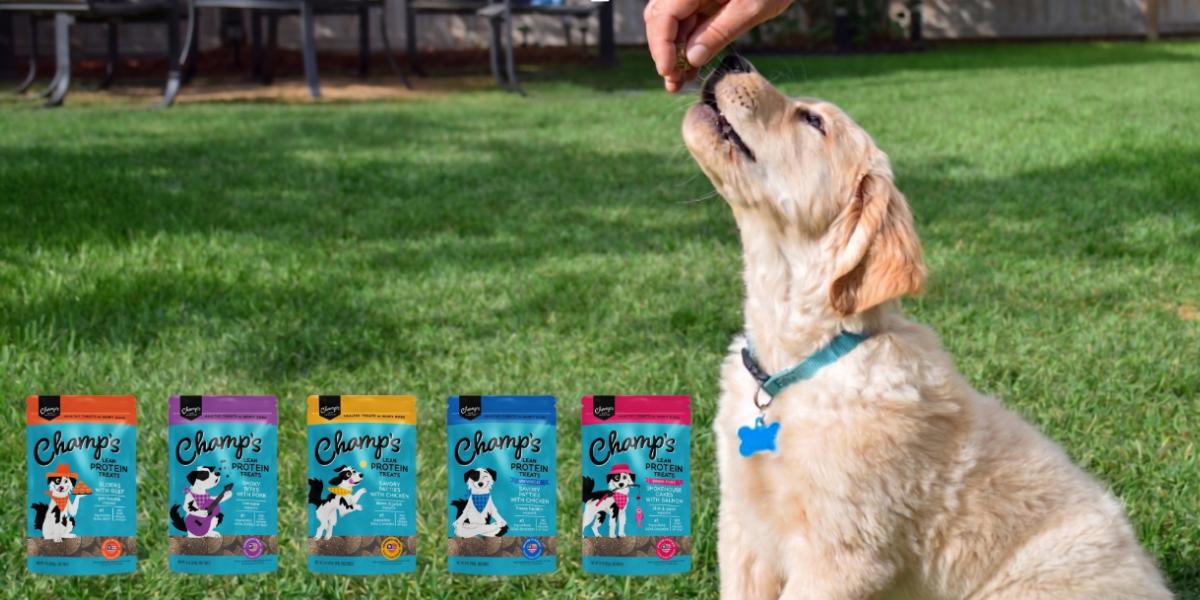 How to Choose the Right Dog Treat for Every Occasion