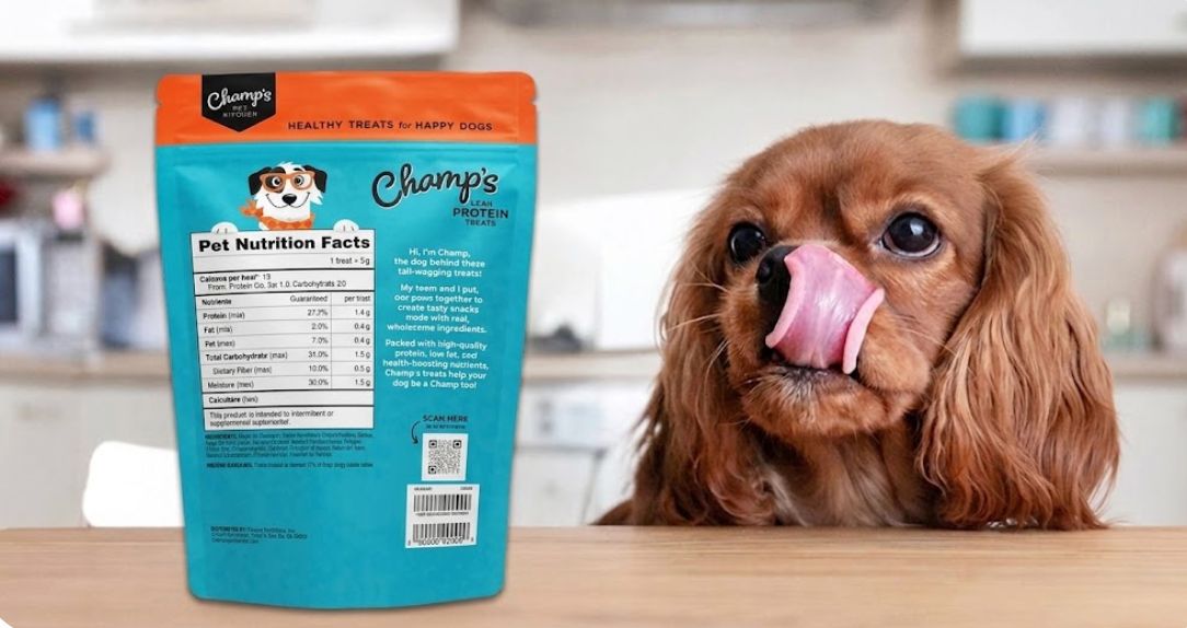 Healthy Dog Treats: What to Look for Before You Buy