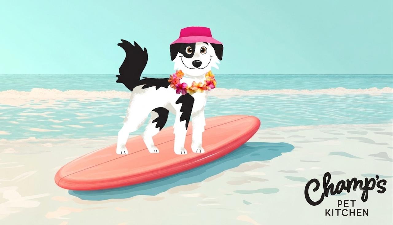 Champ's Summer Playbook: Heat, Travel & Keeping Your Dog Cool